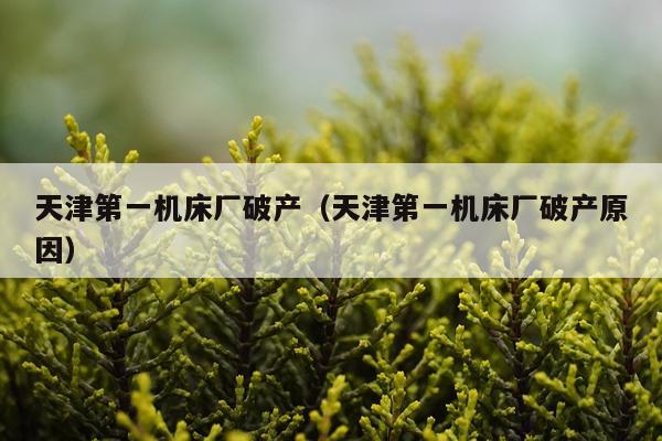 天津第一机床厂破产（天津第一机床厂破产原因）