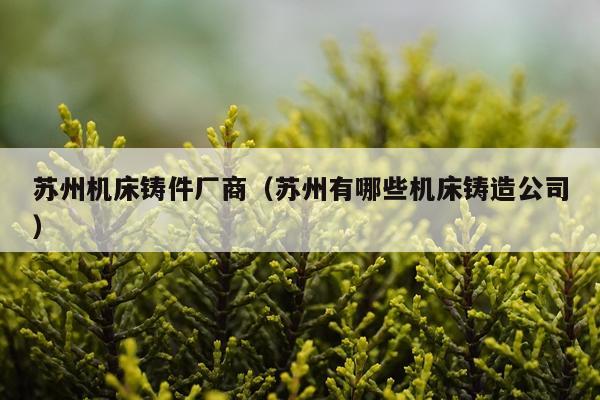 苏州机床铸件厂商（苏州有哪些机床铸造公司）