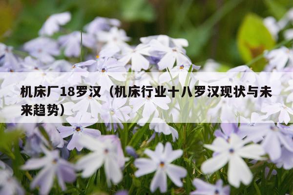 机床厂18罗汉(机床行业十八罗汉现状与未来趋势)
