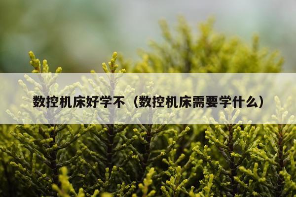 数控机床好学不(数控机床需要学什么)
