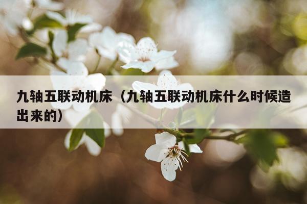 九轴五联动机床（九轴五联动机床什么时候造出来的）