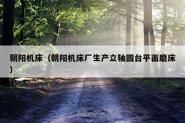 朝阳机床（朝阳机床厂生产立轴圆台平面磨床）