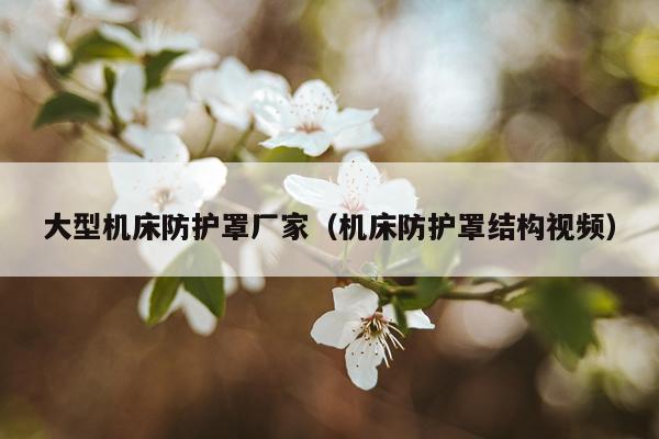 大型机床防护罩厂家（机床防护罩结构视频）