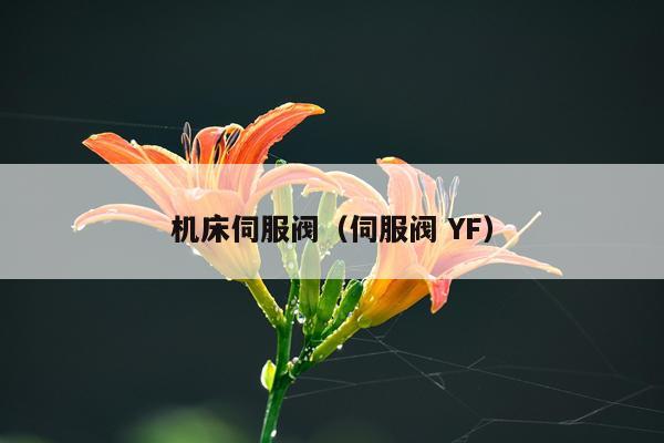 机床伺服阀（伺服阀 YF）