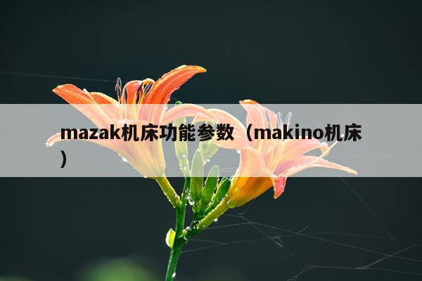 mazak机床功能参数（makino机床）