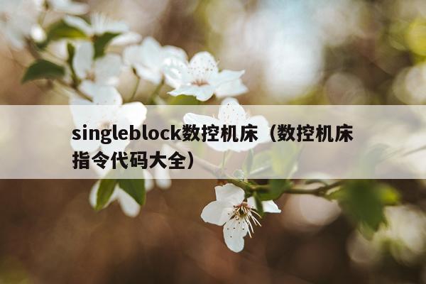 singleblock数控机床（数控机床指令代码大全）