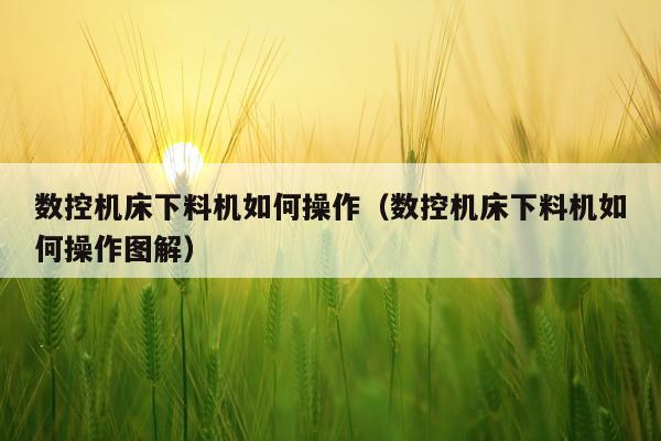 数控机床下料机如何操作(数控机床下料机如何操作图解)