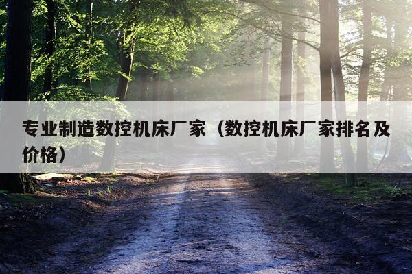 专业制造数控机床厂家(数控机床厂家排名及价格)