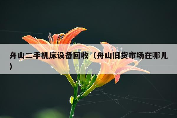 舟山二手机床设备回收(舟山旧货市场在哪儿)