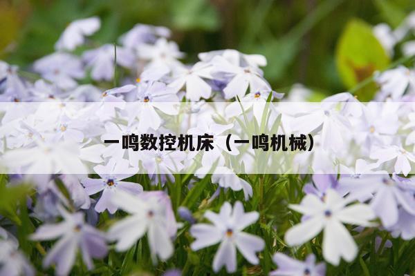 一鸣数控机床(一鸣机械)