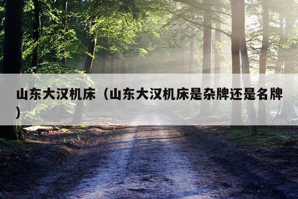 山东大汉机床（山东大汉机床是杂牌还是名牌）
