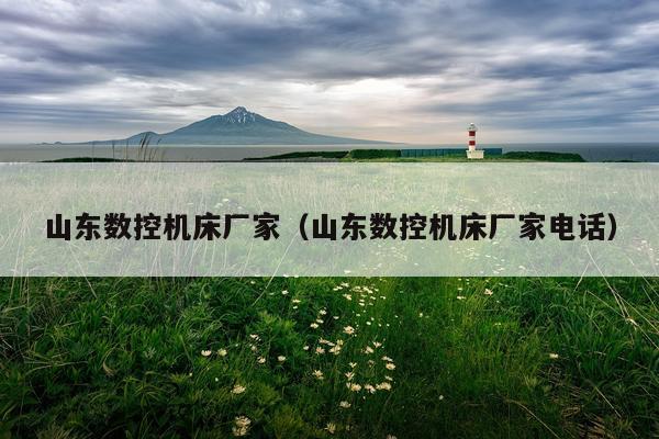 山东数控机床厂家（山东数控机床厂家电话）