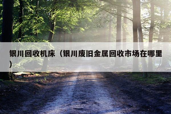 银川回收机床（银川废旧金属回收市场在哪里）