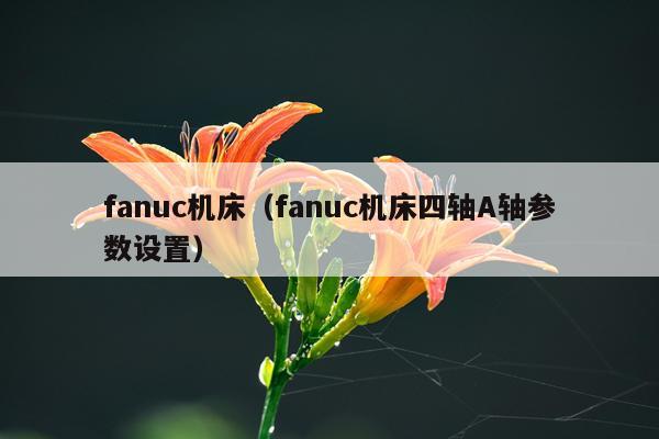 fanuc机床（fanuc机床四轴A轴参数设置）