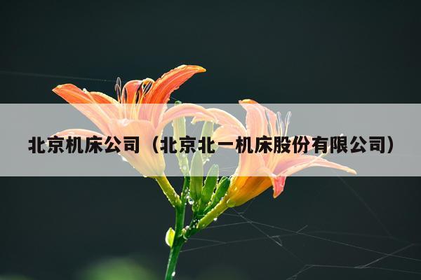北京机床公司（北京北一机床股份有限公司）