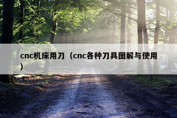 cnc机床用刀（cnc各种刀具图解与使用）