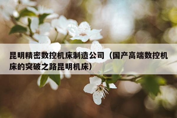 昆明精密数控机床制造公司（国产高端数控机床的突破之路昆明机床）