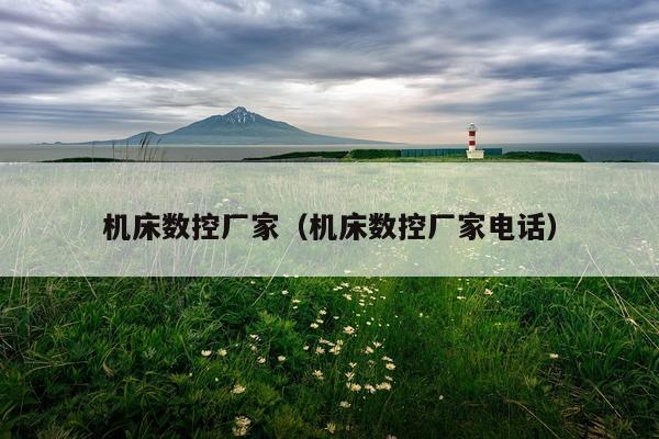 机床数控厂家（机床数控厂家电话）