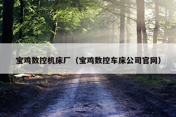 宝鸡数控机床厂（宝鸡数控车床公司官网）