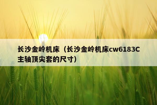 长沙金岭机床（长沙金岭机床cw6183C主轴顶尖套的尺寸）