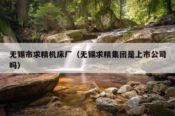 无锡市求精机床厂（无锡求精集团是上市公司吗）