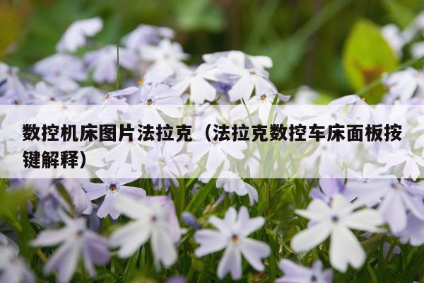 数控机床图片法拉克(法拉克数控车床面板按键解释)