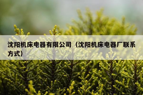 沈阳机床电器有限公司(沈阳机床电器厂联系方式)