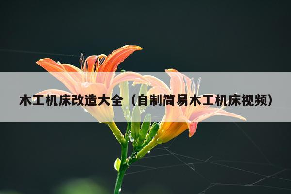 木工机床改造大全(自制简易木工机床视频)