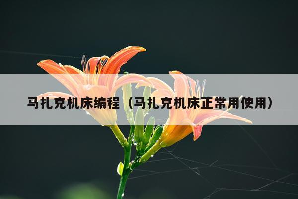 马扎克机床编程（马扎克机床正常用使用）