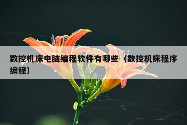 数控机床电脑编程软件有哪些（数控机床程序编程）