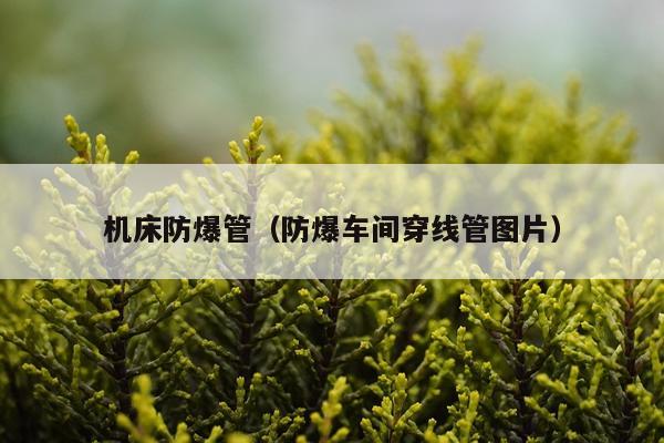 机床防爆管（防爆车间穿线管图片）