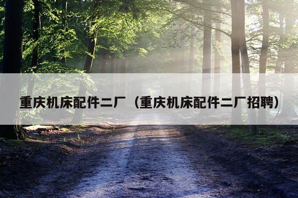 重庆机床配件二厂（重庆机床配件二厂招聘）