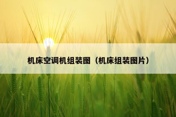 机床空调机组装图（机床组装图片）