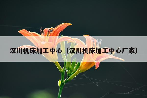 汉川机床加工中心（汉川机床加工中心厂家）