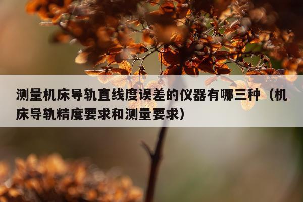 测量机床导轨直线度误差的仪器有哪三种（机床导轨精度要求和测量要求）