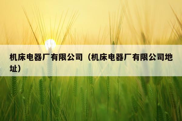 机床电器厂有限公司(机床电器厂有限公司地址)