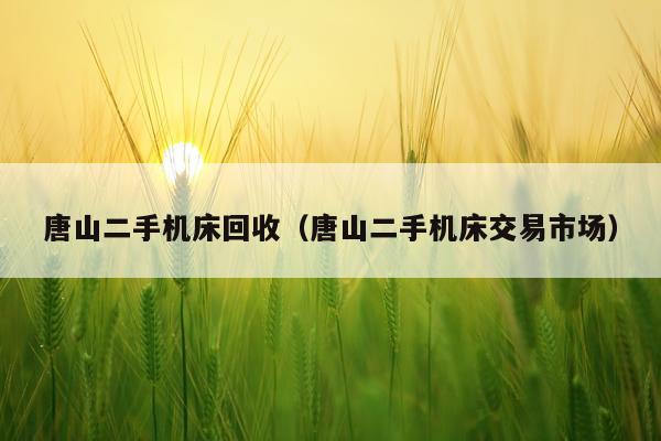 唐山二手机床回收(唐山二手机床交易市场)