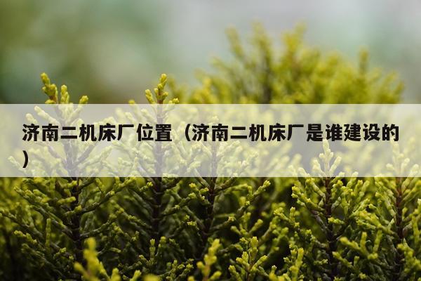 济南二机床厂位置（济南二机床厂是谁建设的）