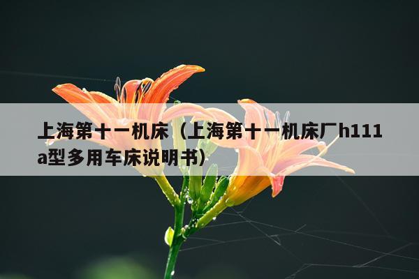 上海第十一机床(上海第十一机床厂h111a型多用车床说明书)
