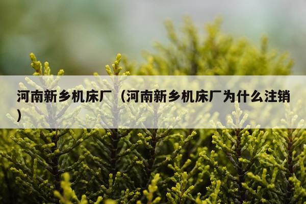 河南新乡机床厂（河南新乡机床厂为什么注销）