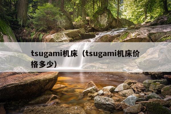 tsugami机床（tsugami机床价格多少）