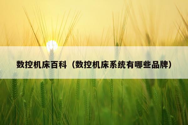 数控机床百科（数控机床系统有哪些品牌）