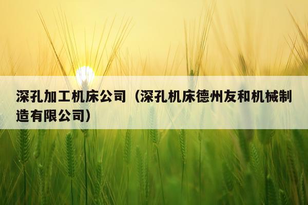 深孔加工机床公司（深孔机床德州友和机械制造有限公司）