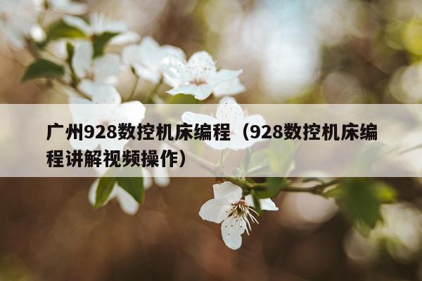 广州928数控机床编程（928数控机床编程讲解视频操作）