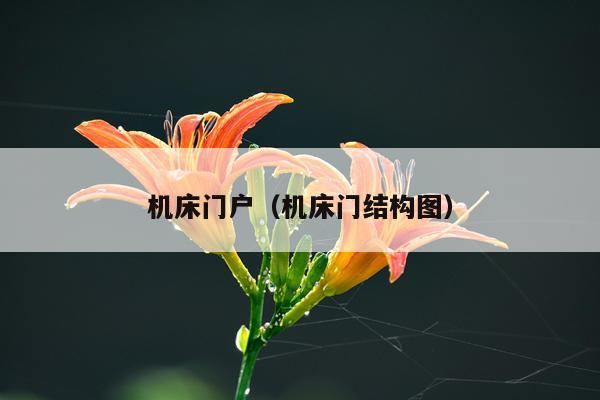 机床门户（机床门结构图）