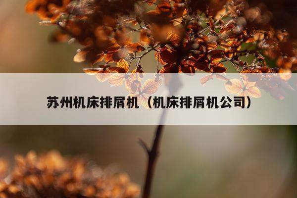 苏州机床排屑机（机床排屑机公司）