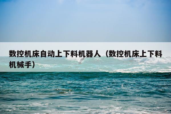 数控机床自动上下料机器人（数控机床上下料机械手）