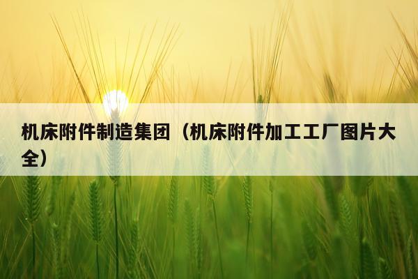 机床附件制造集团（机床附件加工工厂图片大全）