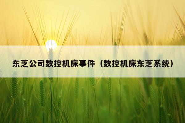 东芝公司数控机床事件（数控机床东芝系统）