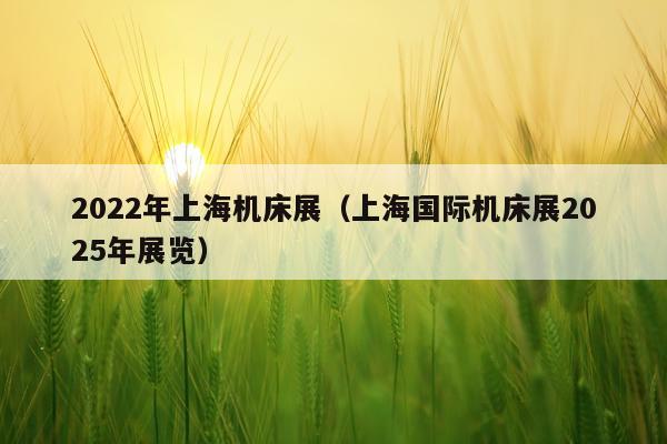 2022年上海机床展（上海国际机床展2025年展览）